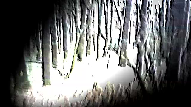 @BHD|m4SHroom