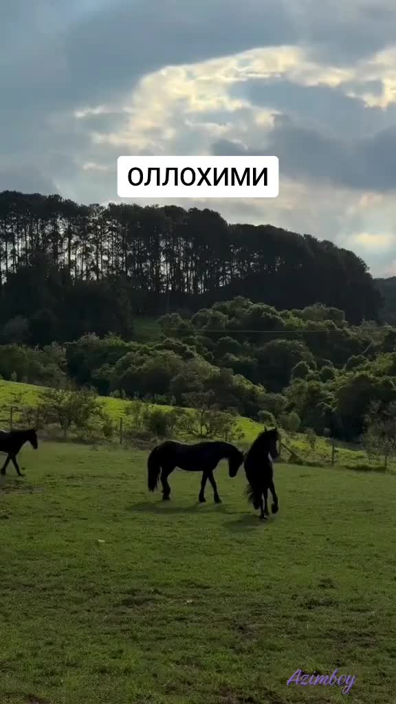@Расулбек