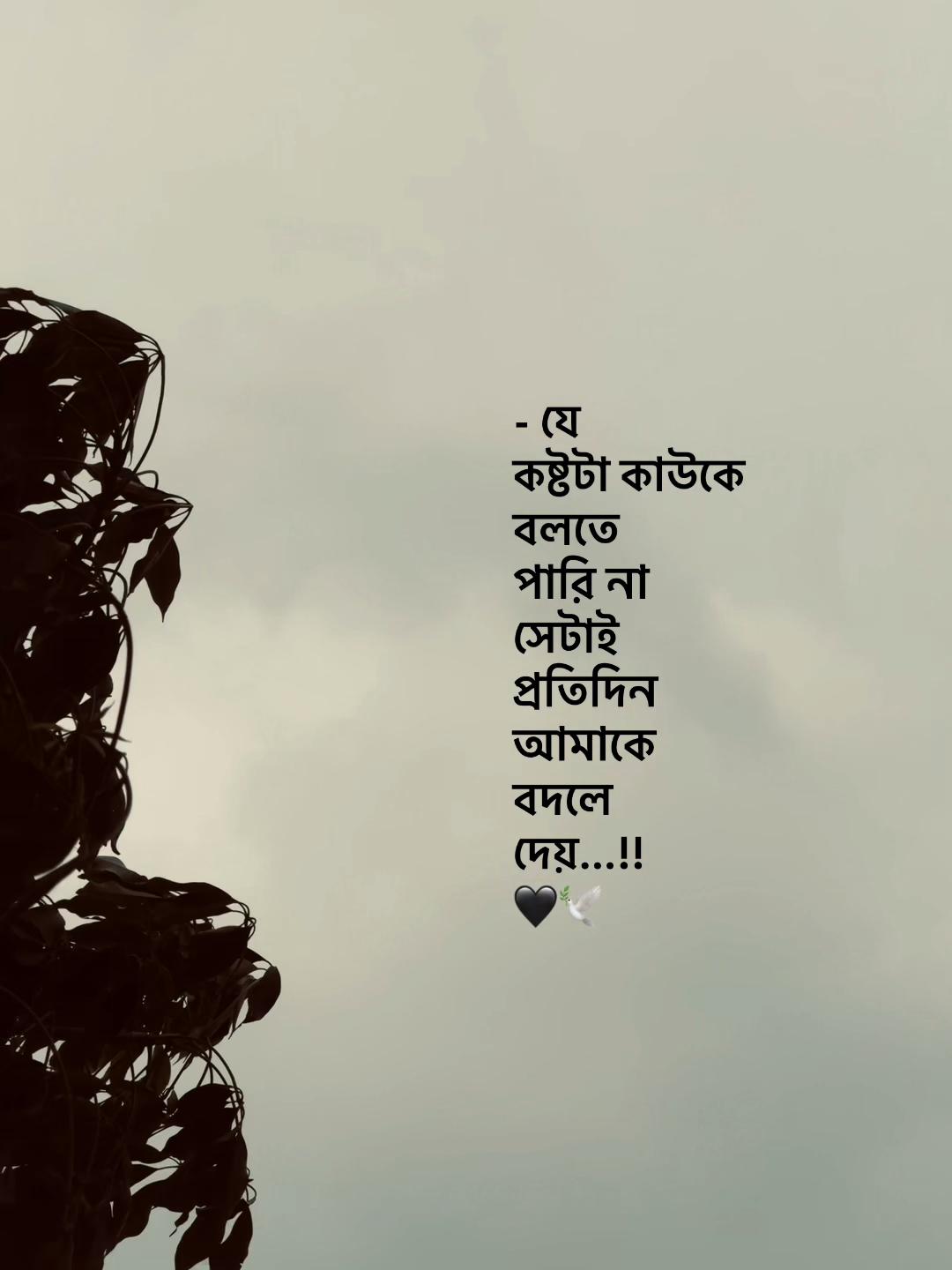 @Jahidul lslam 95