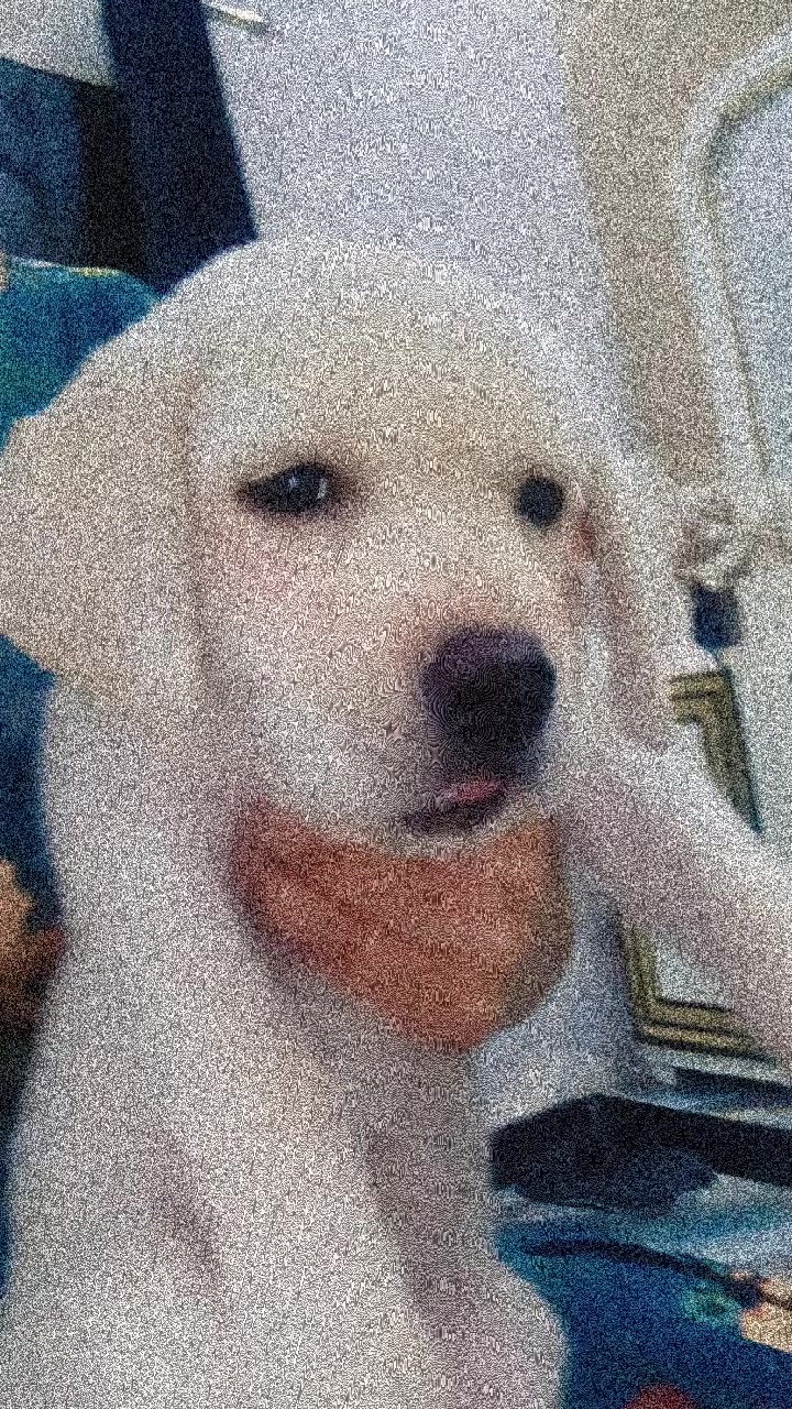 @๐คEโค๏ธ๐ฉน