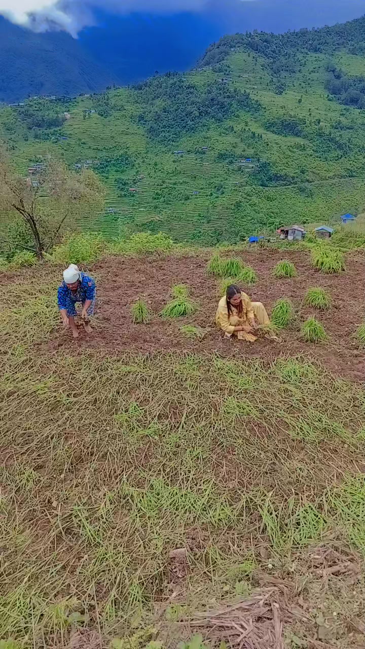 @मिरा♥️ शिबाकोटि