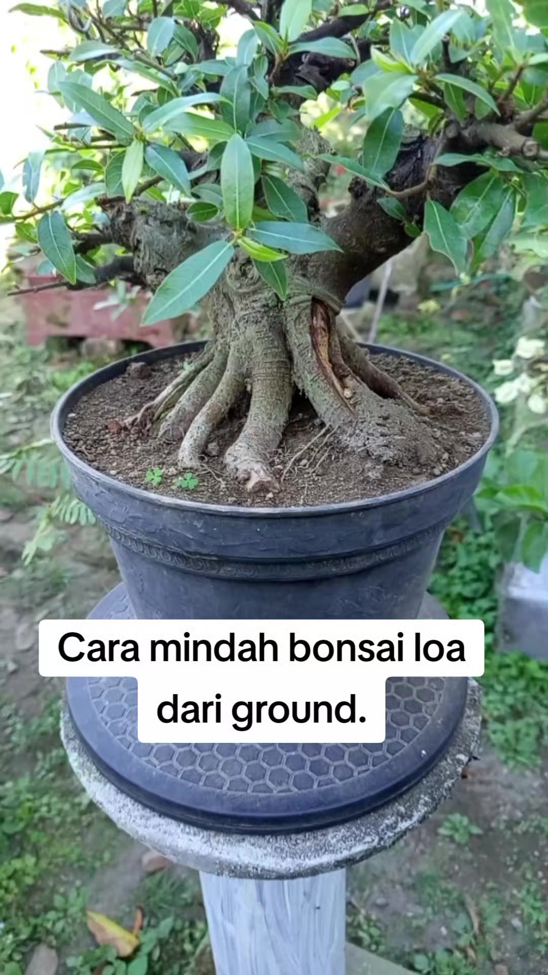 @Bos07