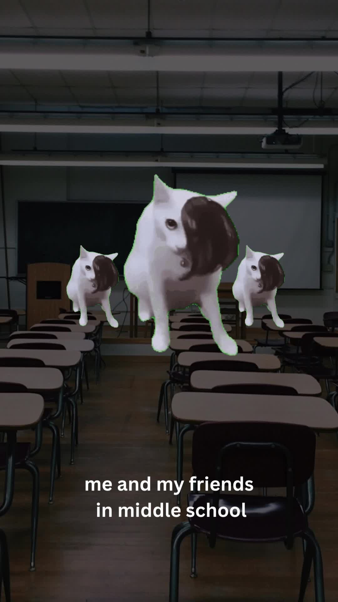@pawfriends