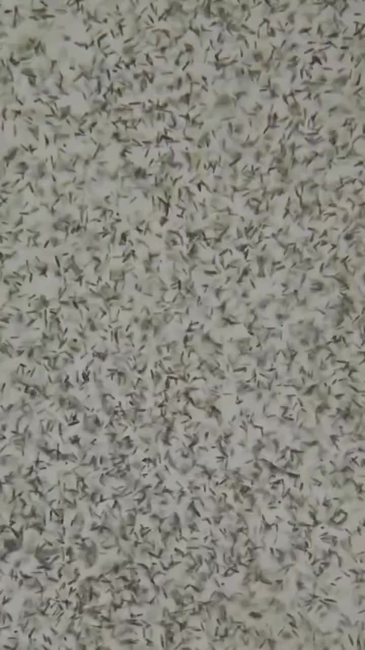 @fuckthislife
