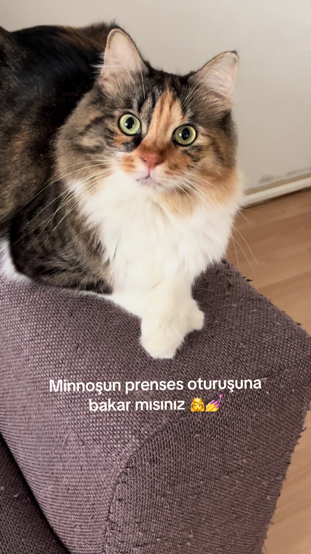 @konusankediminnos