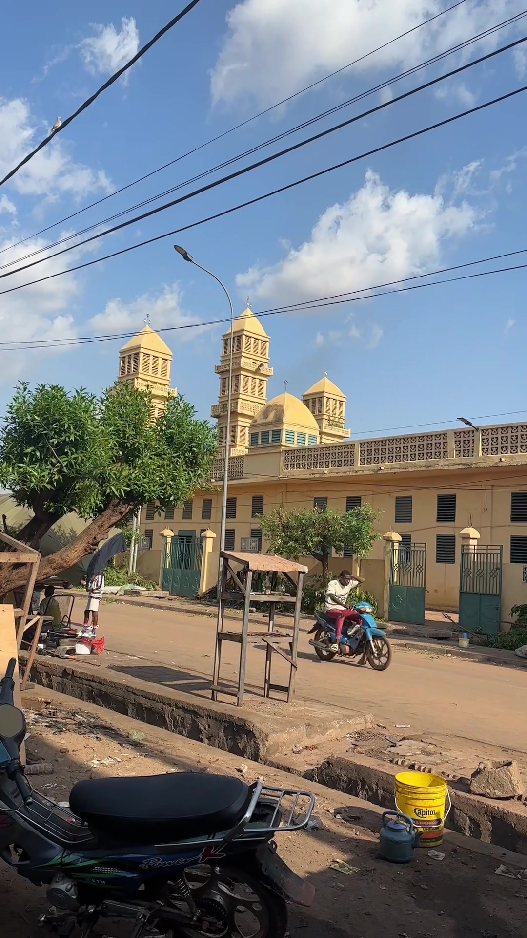 @Teammalian