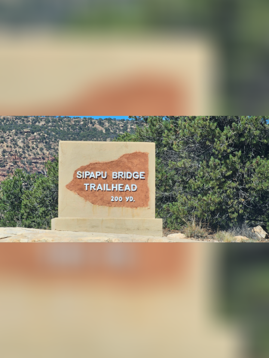 @Bare Soul Wanderlust