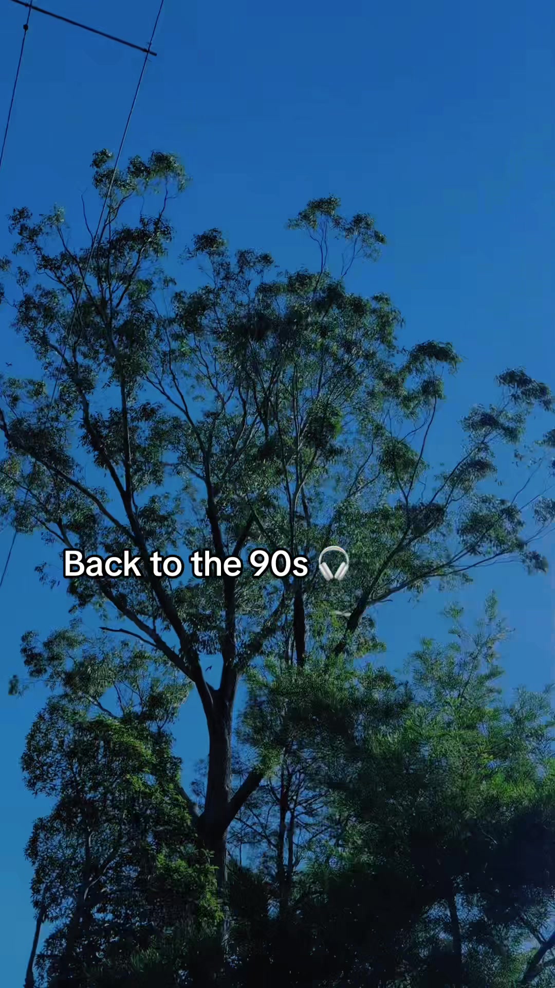 @भोटु~1996!