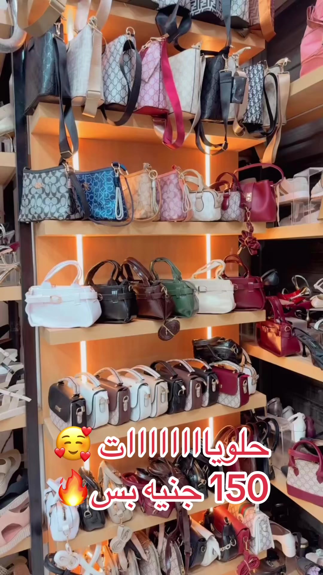 @shikomasr96