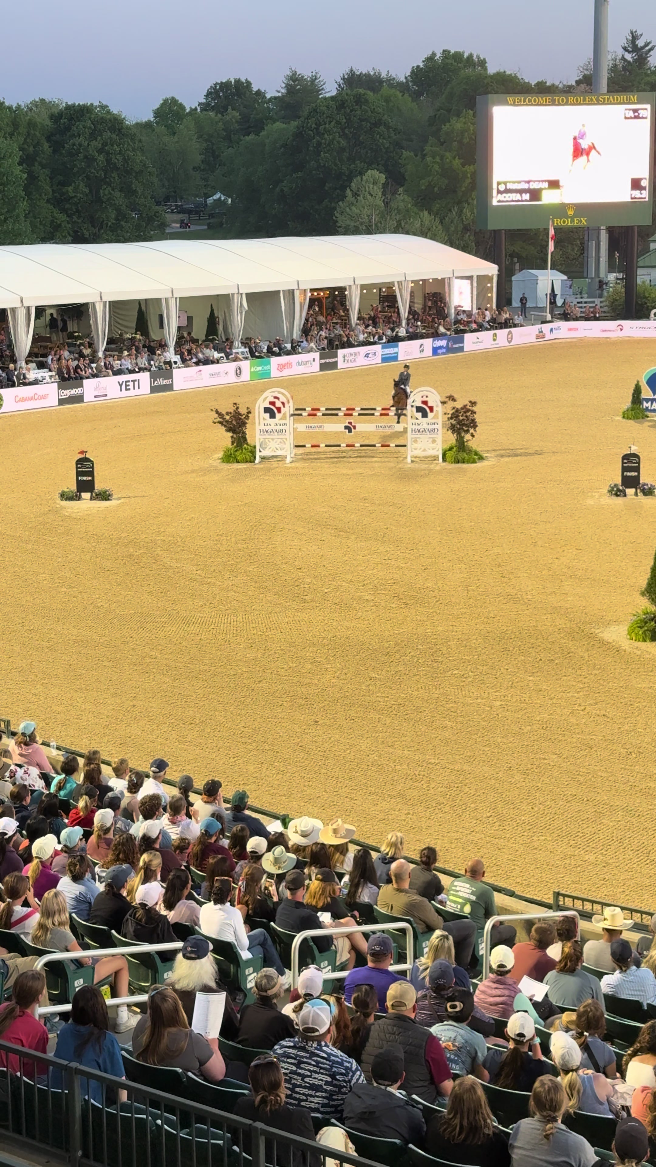 @Major League Show Jumping