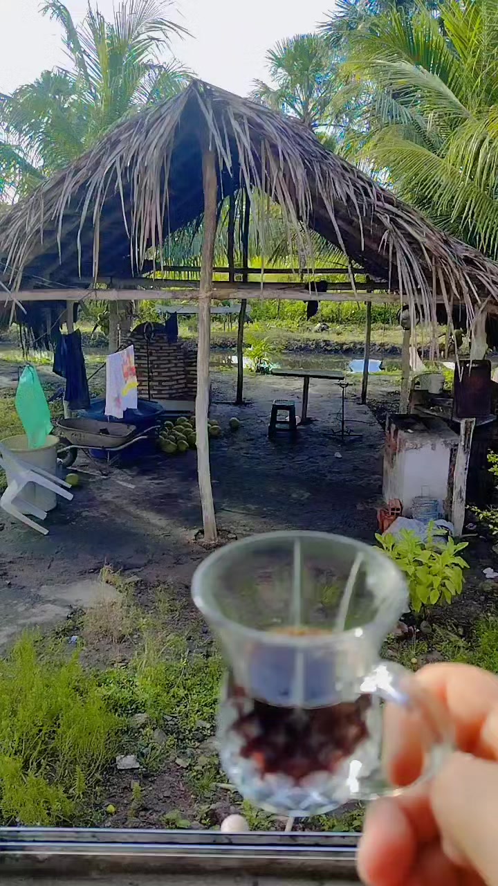 @PAULO VIANA