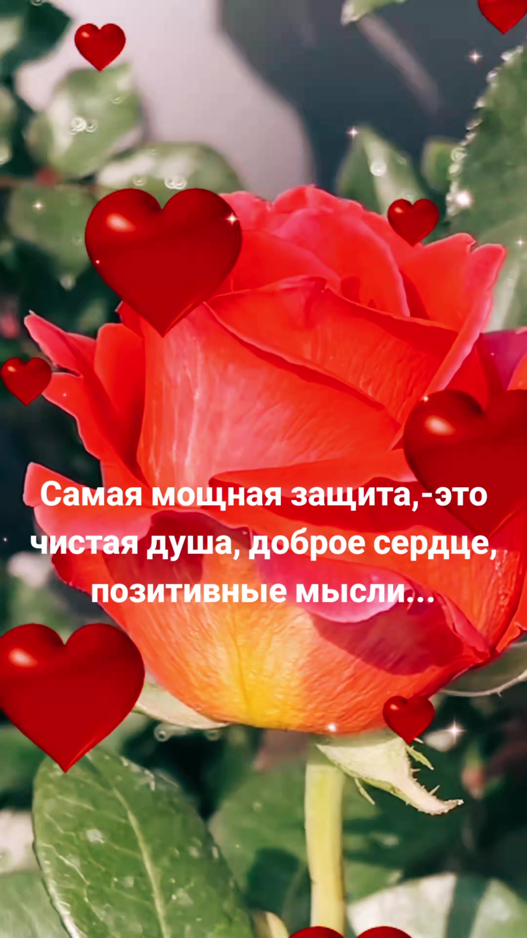 @Мила Телец.