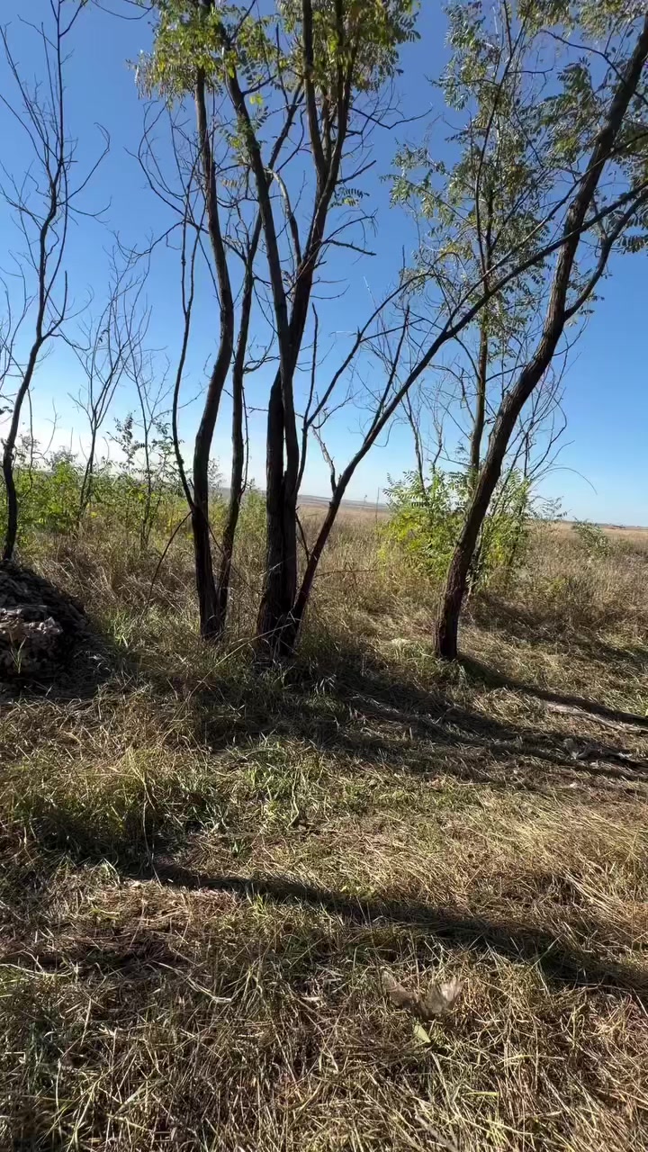 @Дядя Халя 🌟