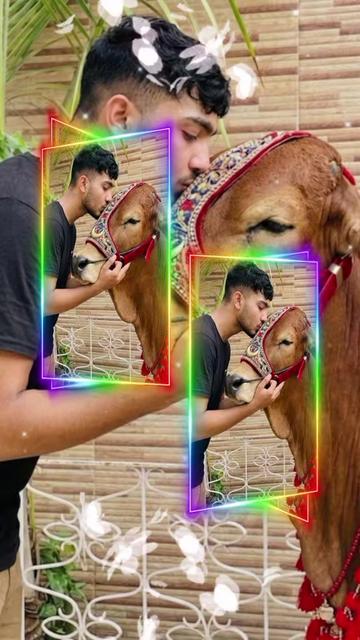 @𝔐 ℑ𝔯𝔱𝔞𝔷𝔞