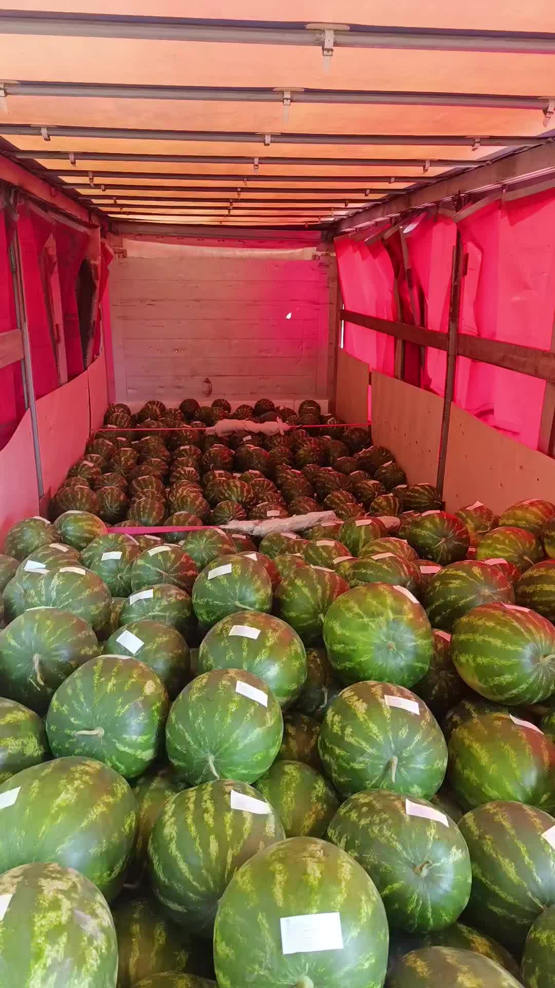 @Ülvi_.023