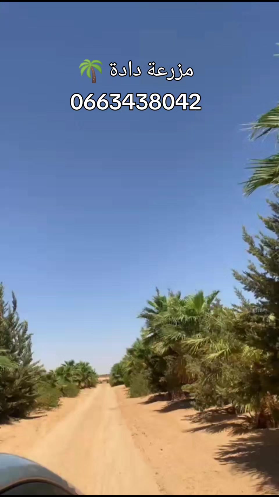 @Dadda mouldi