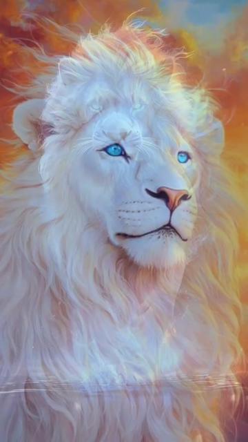 @Irfan❤️❤️👍👍💖💖🇵🇰333