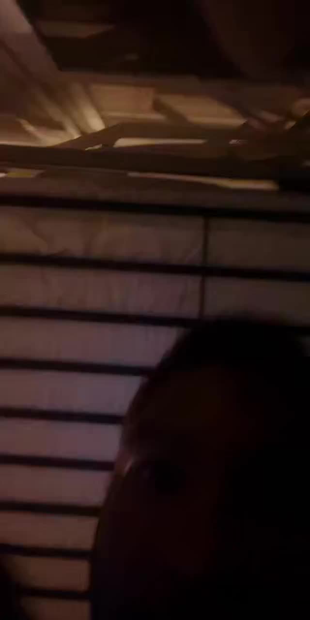 @wallacepolle5