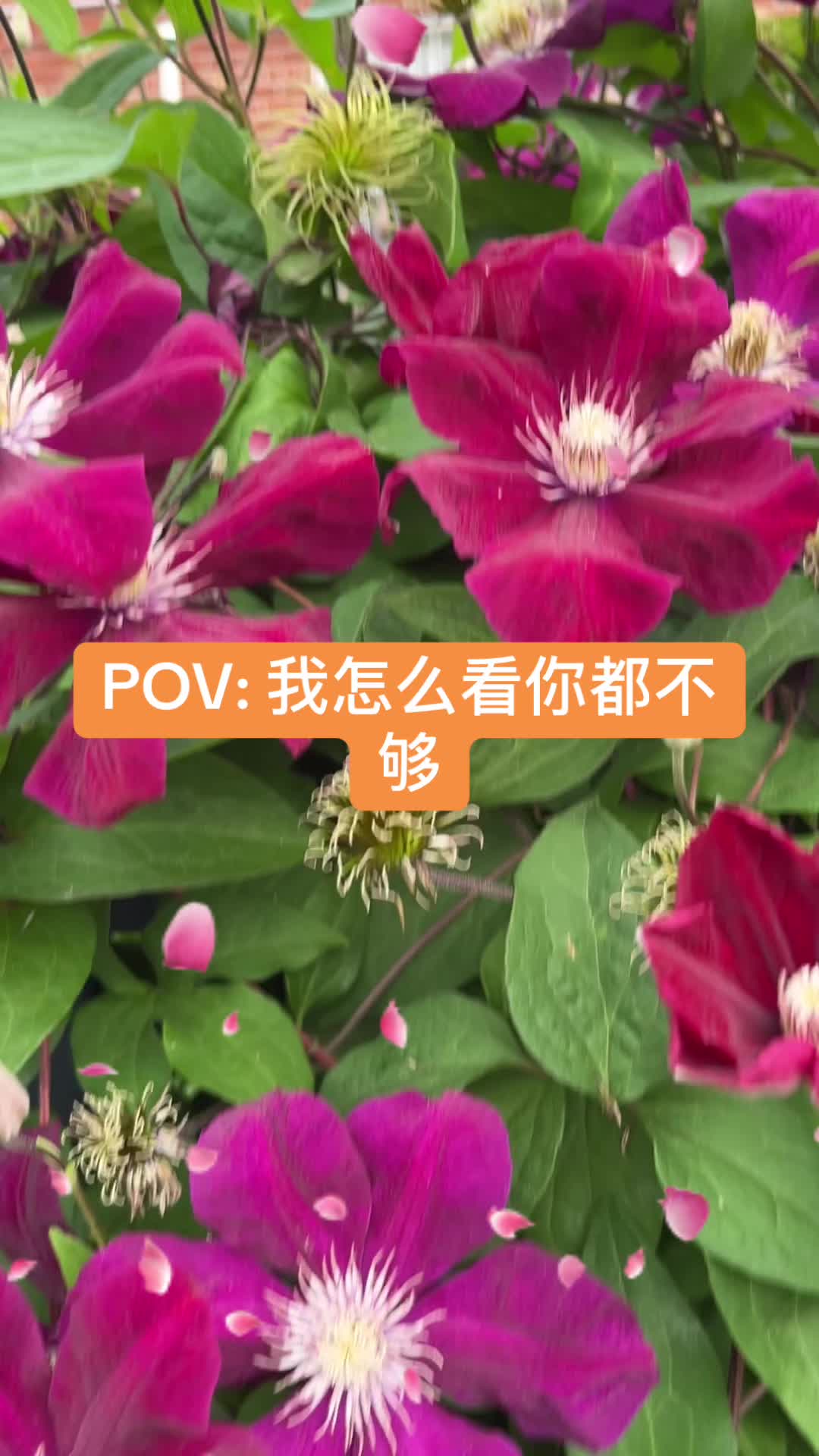 @心飞扬xie💕