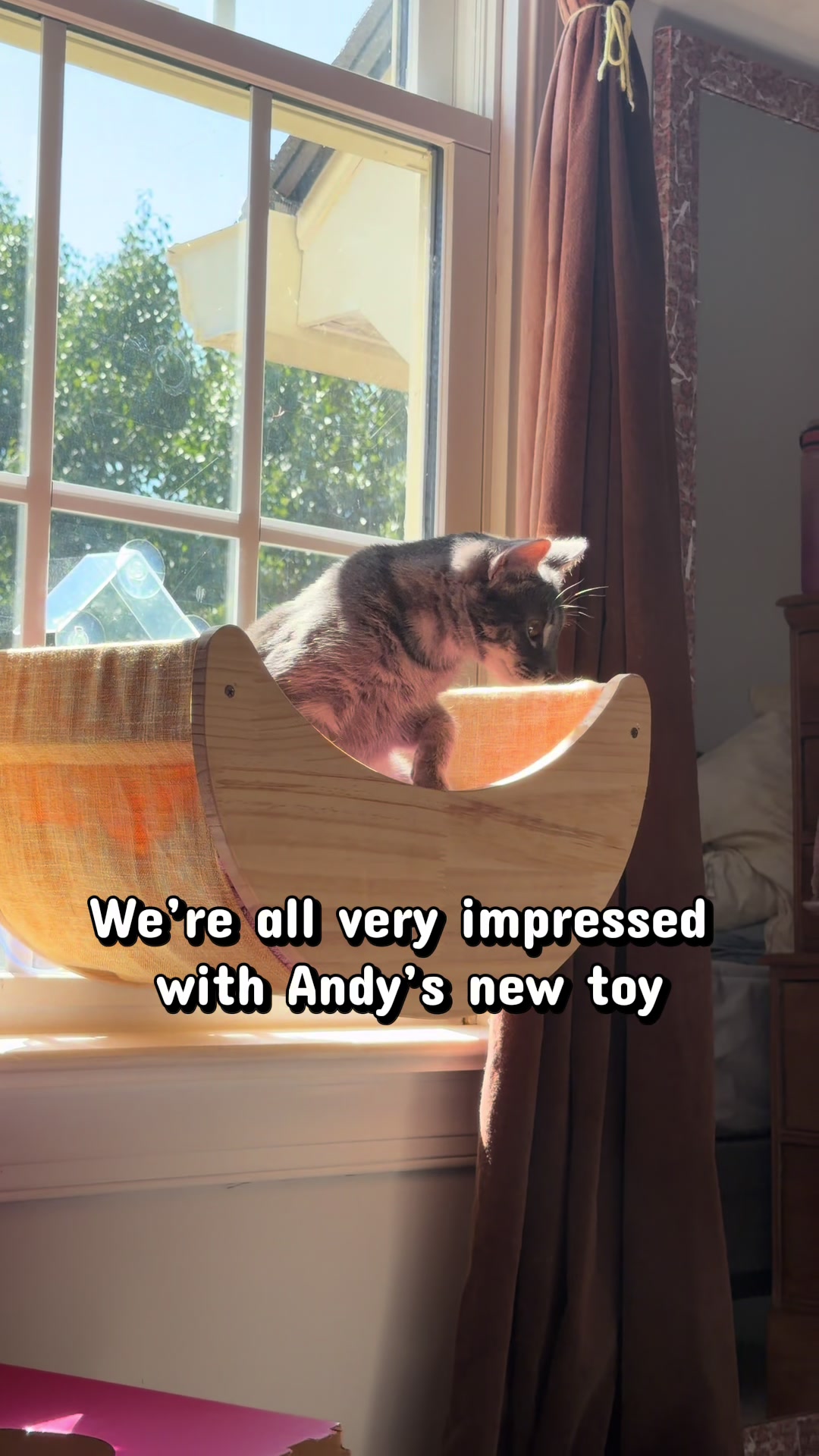 @KittyUsurper