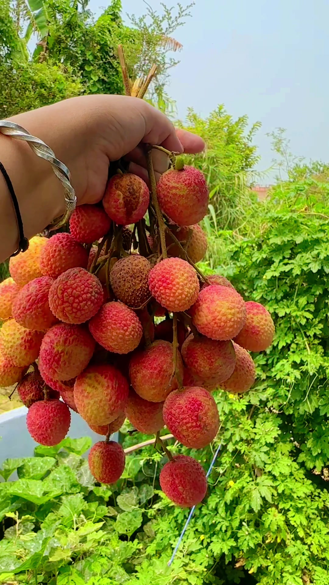 @AMbeeka_khadka💫🦋