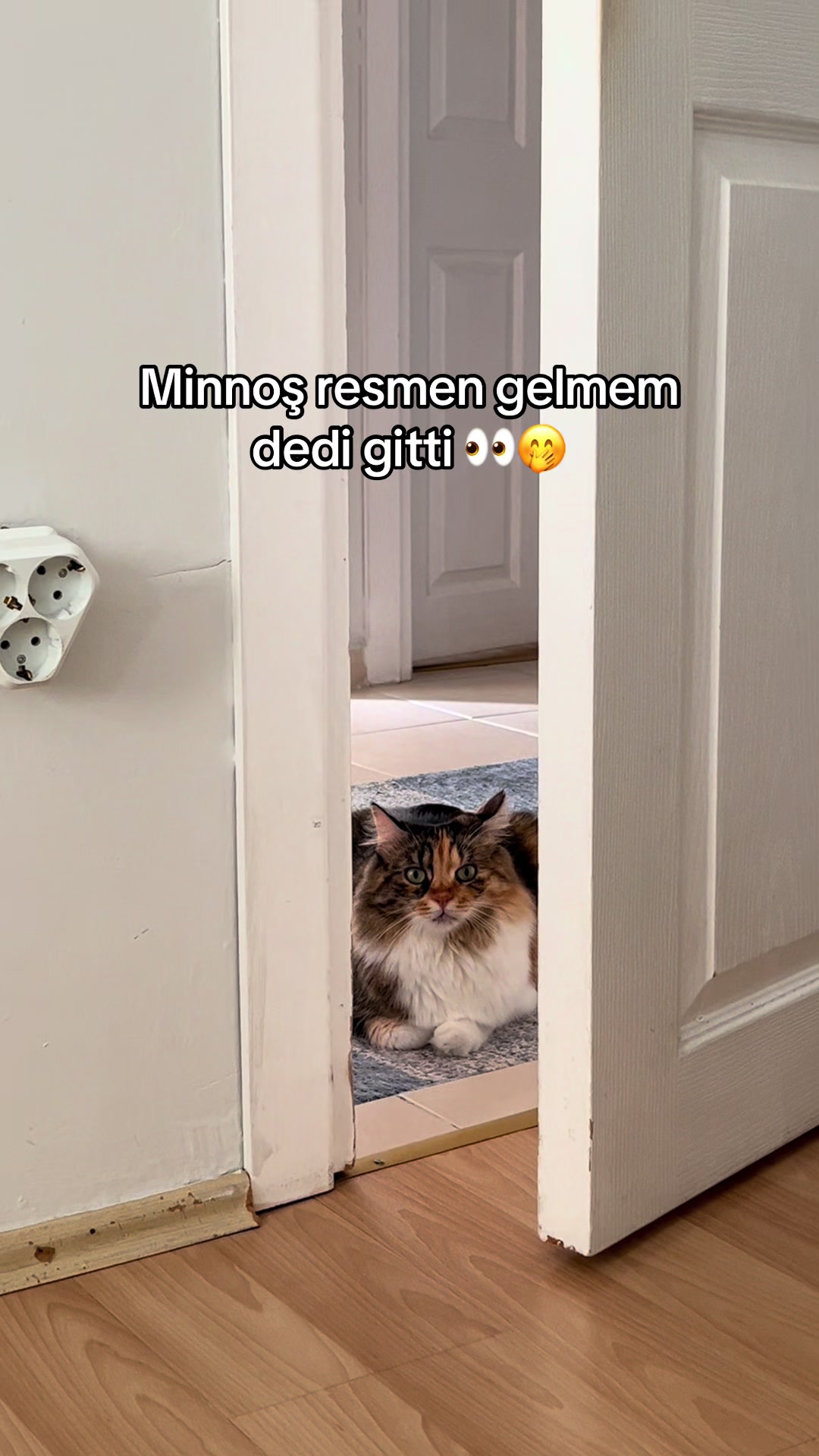 @konusankediminnos