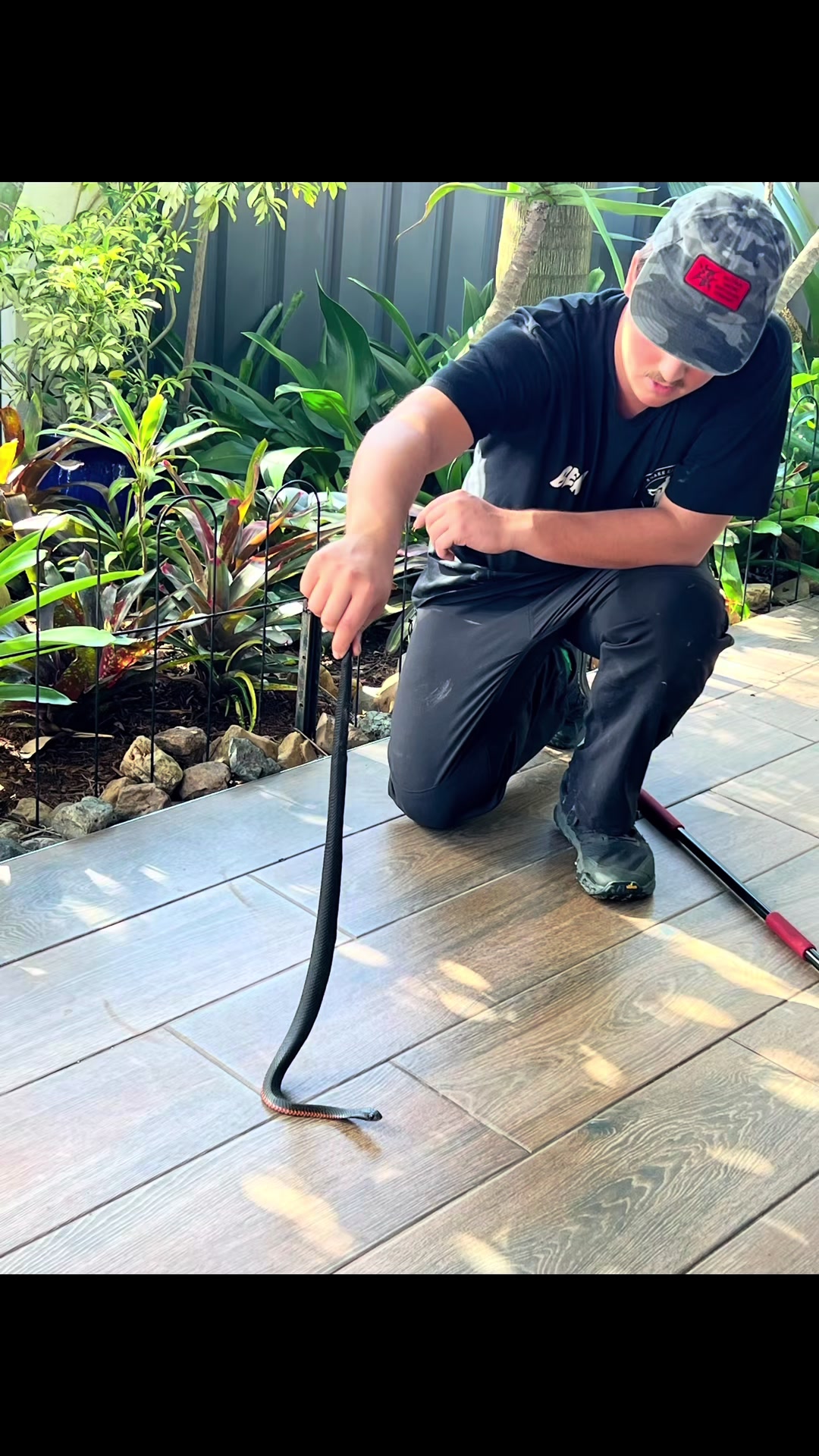 @Snake Catcher Dan