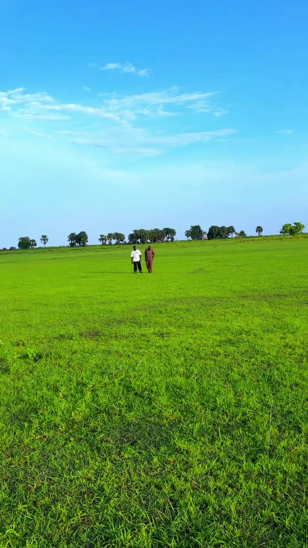 @Akolshiga🐴🦄🌧️