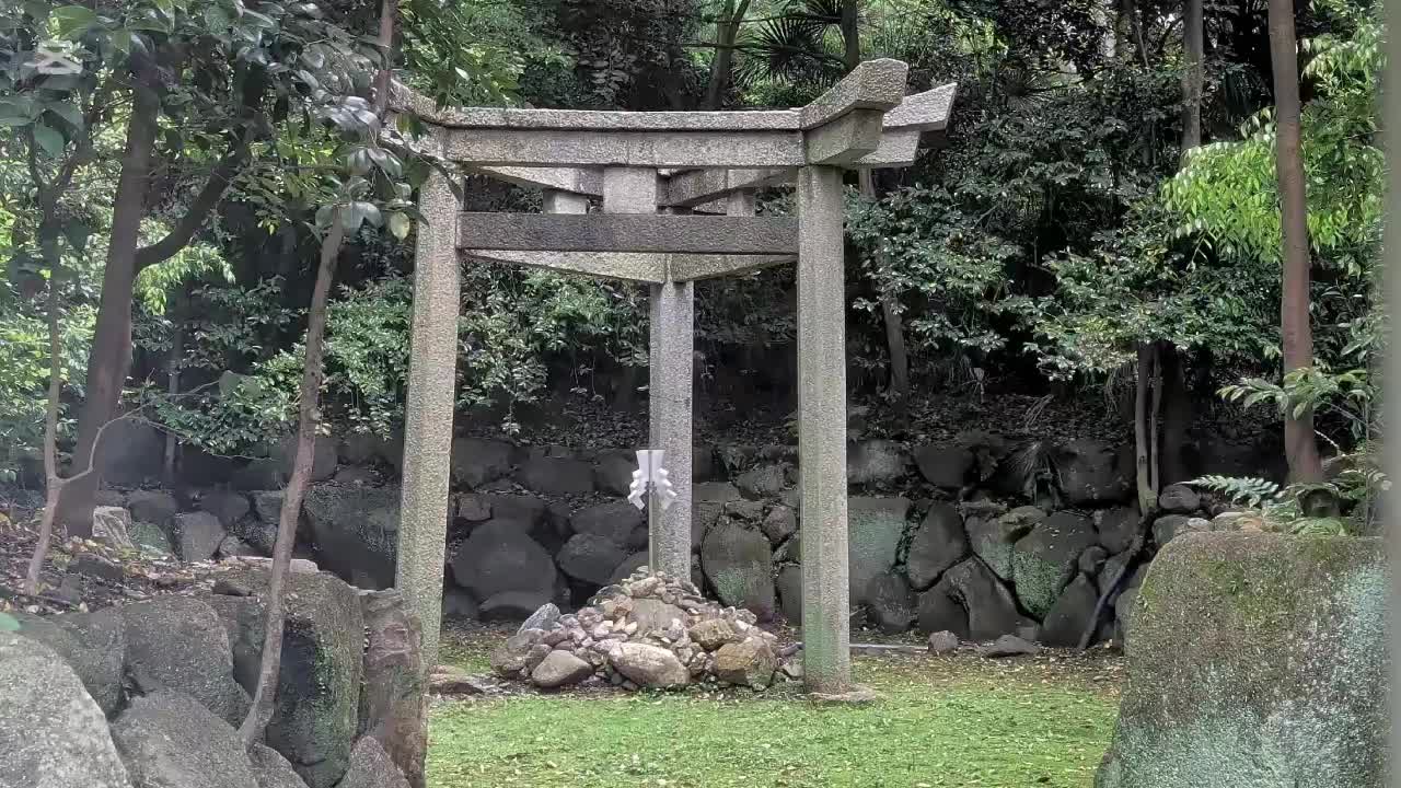 @自由人