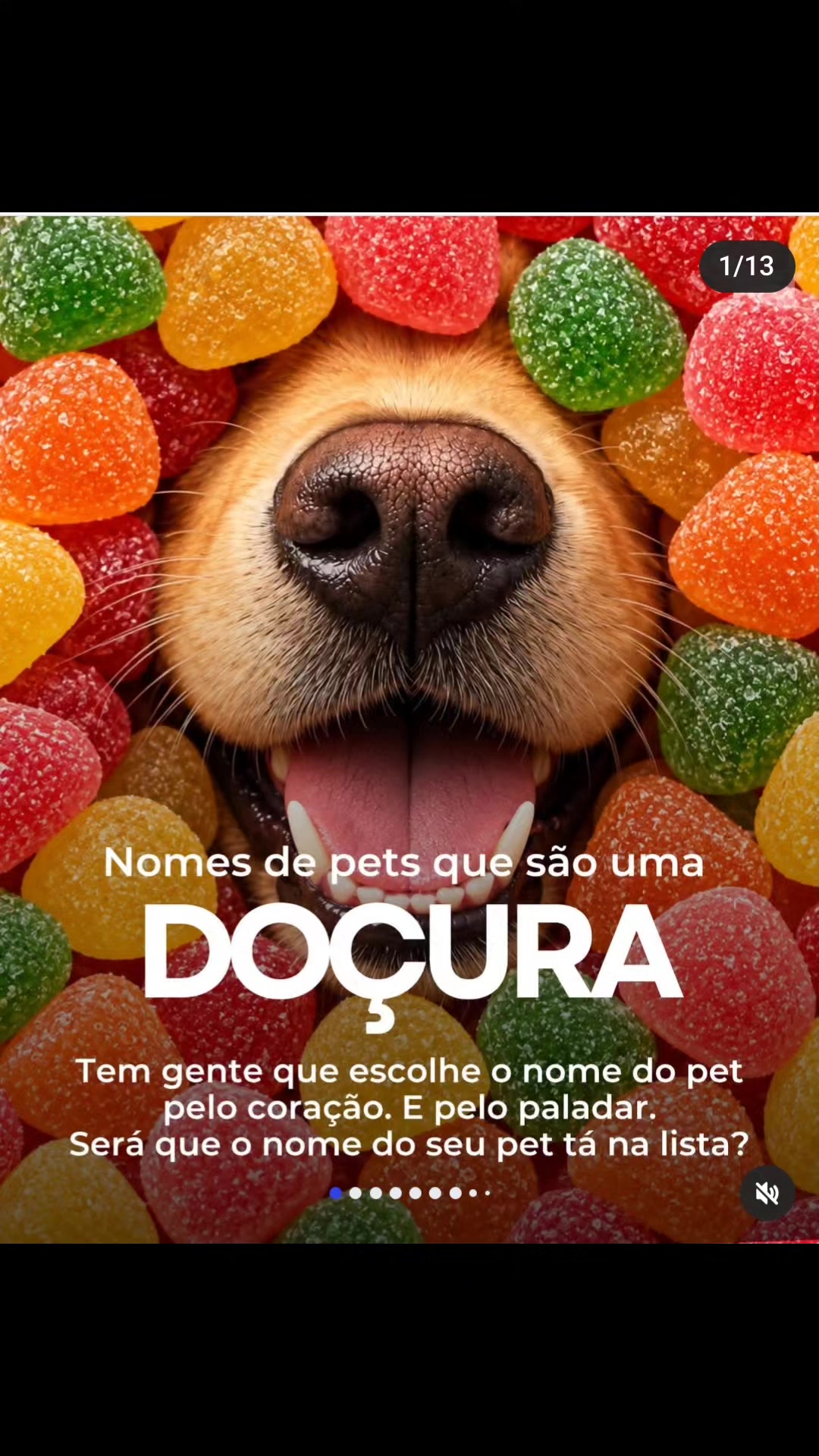 @Tropa da Fatinha🐶🐱🐎...