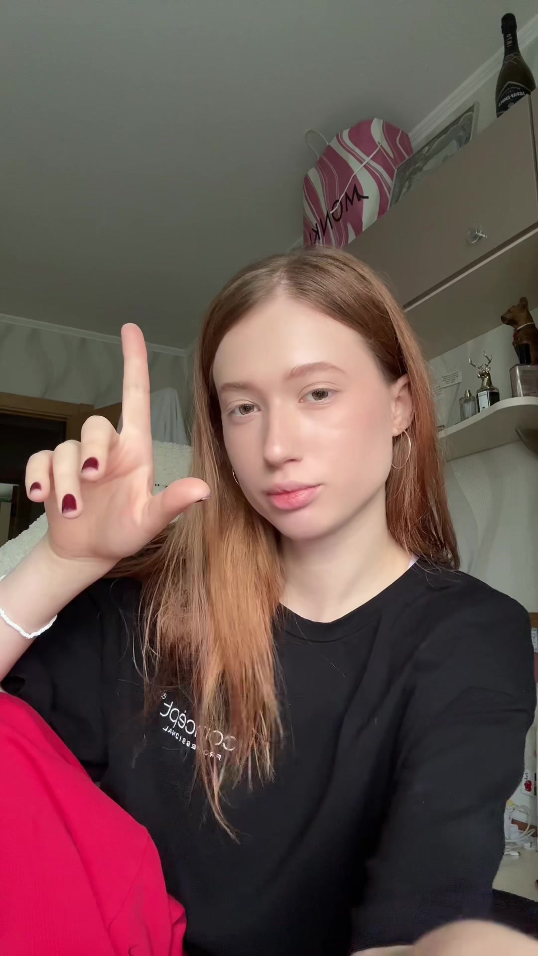 @ARISHEL