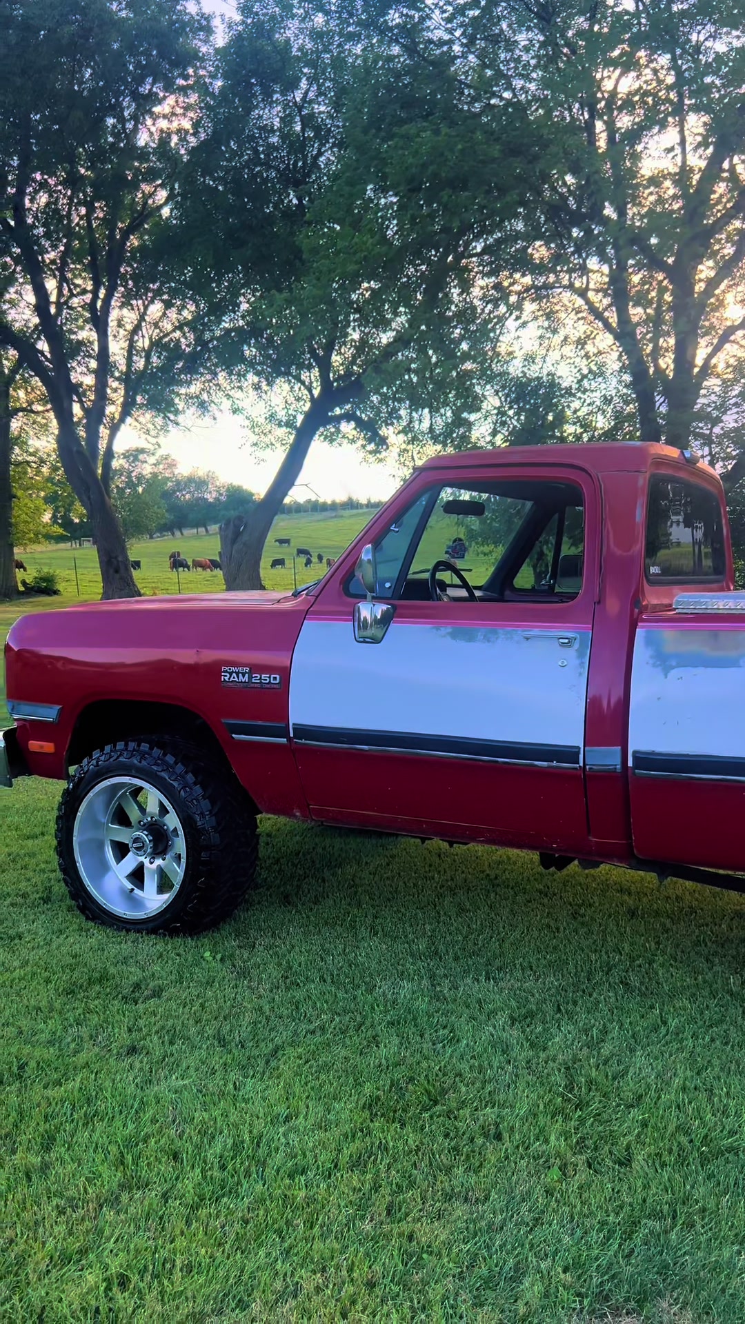 @semihard75