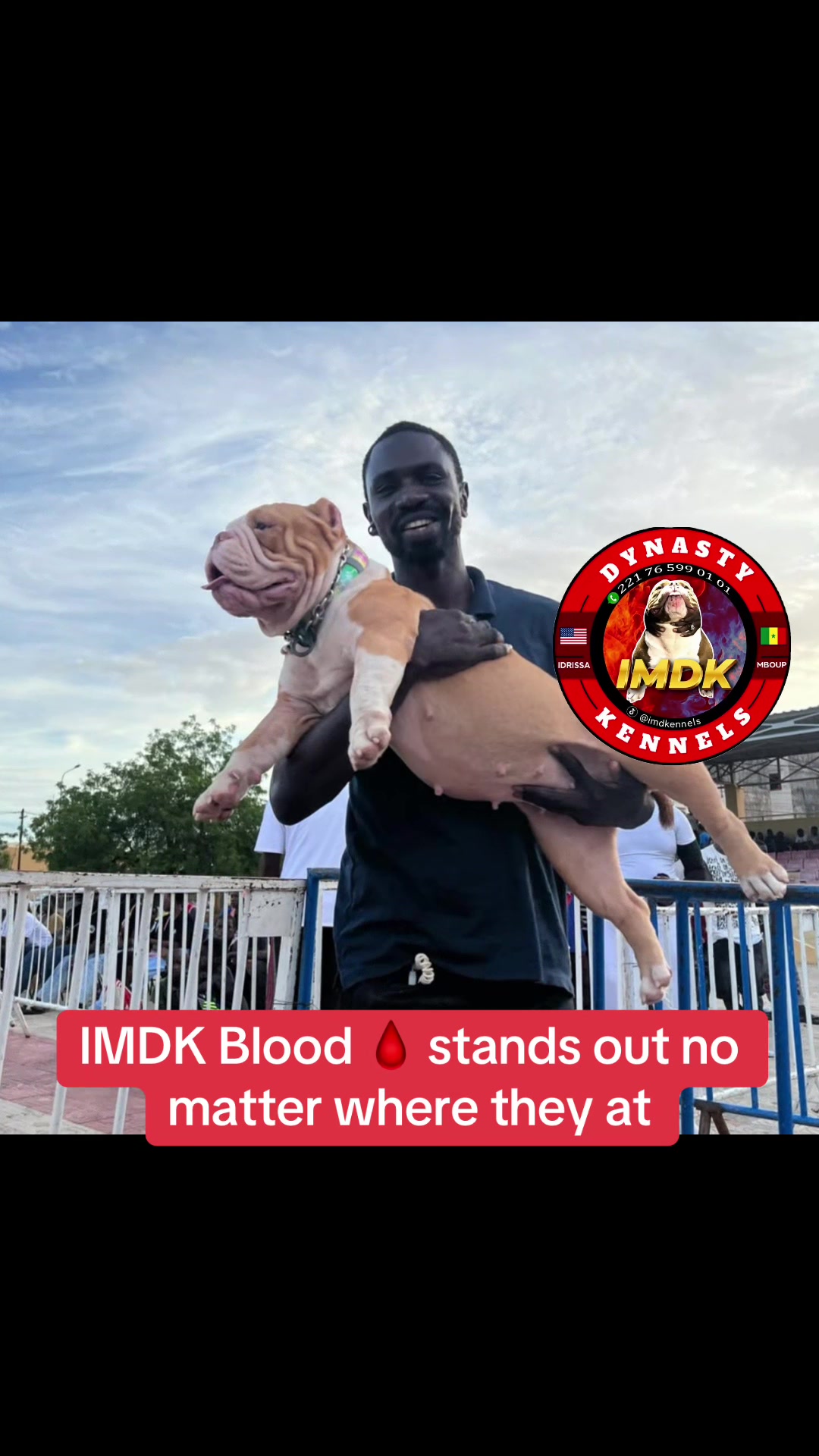@IMDK