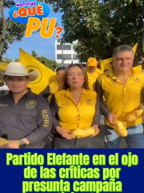 @Que Pu