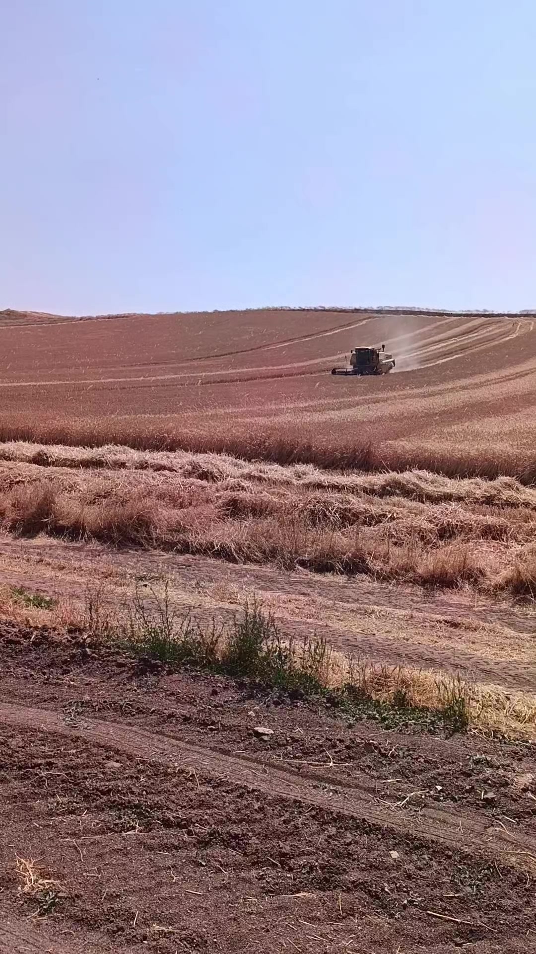 @Hasan_Hüseyin_korkmazz7171