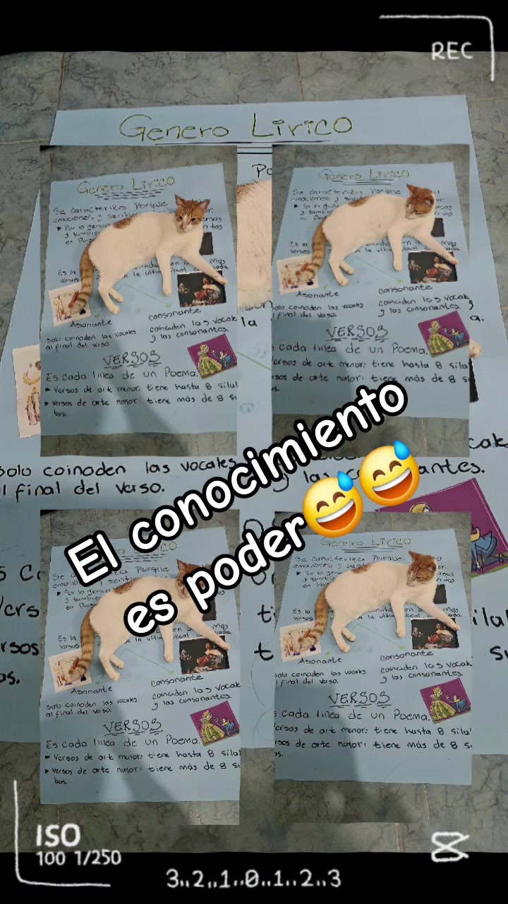 @vivian vargas
