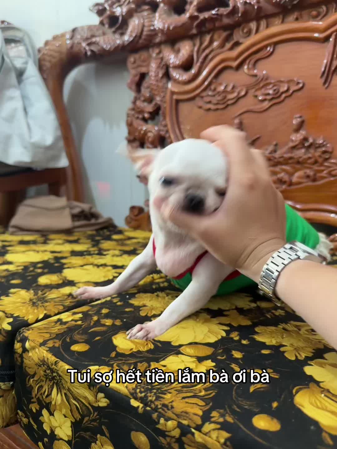 @Lún Lè👽