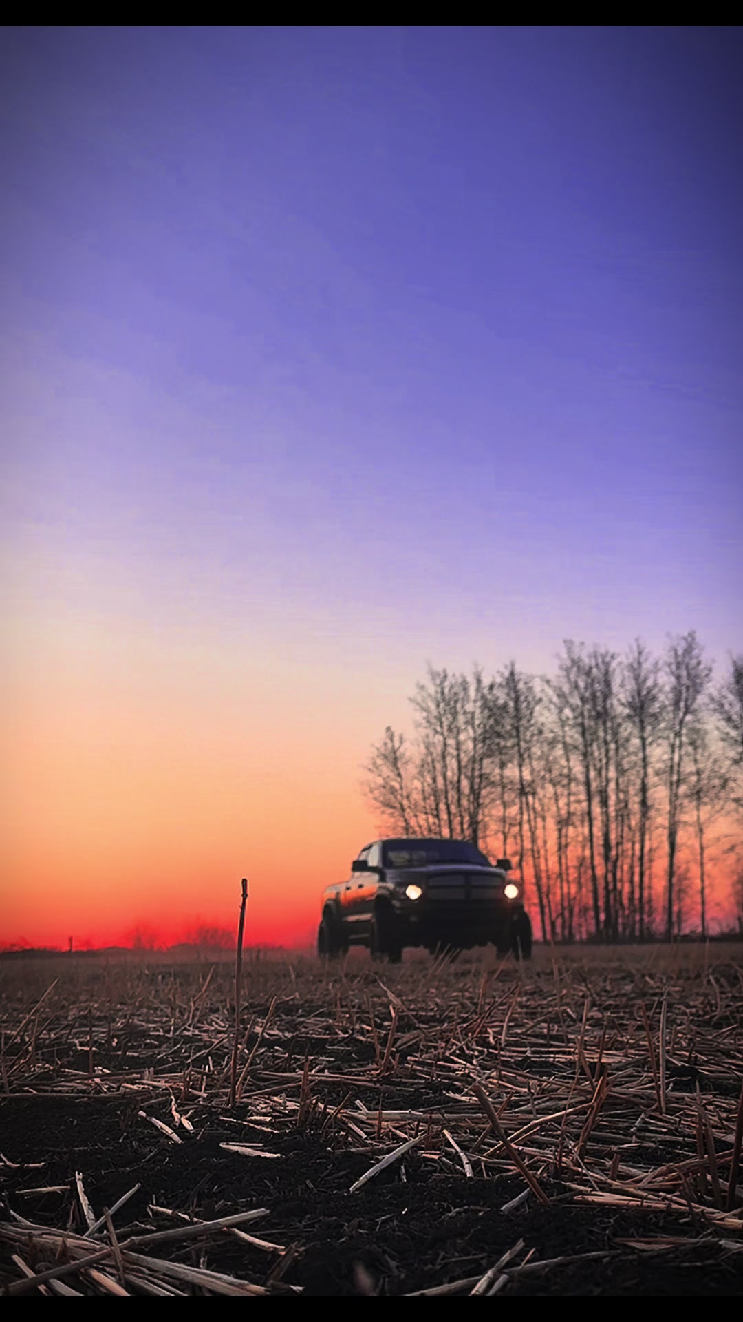 @5thgenfarmgirl