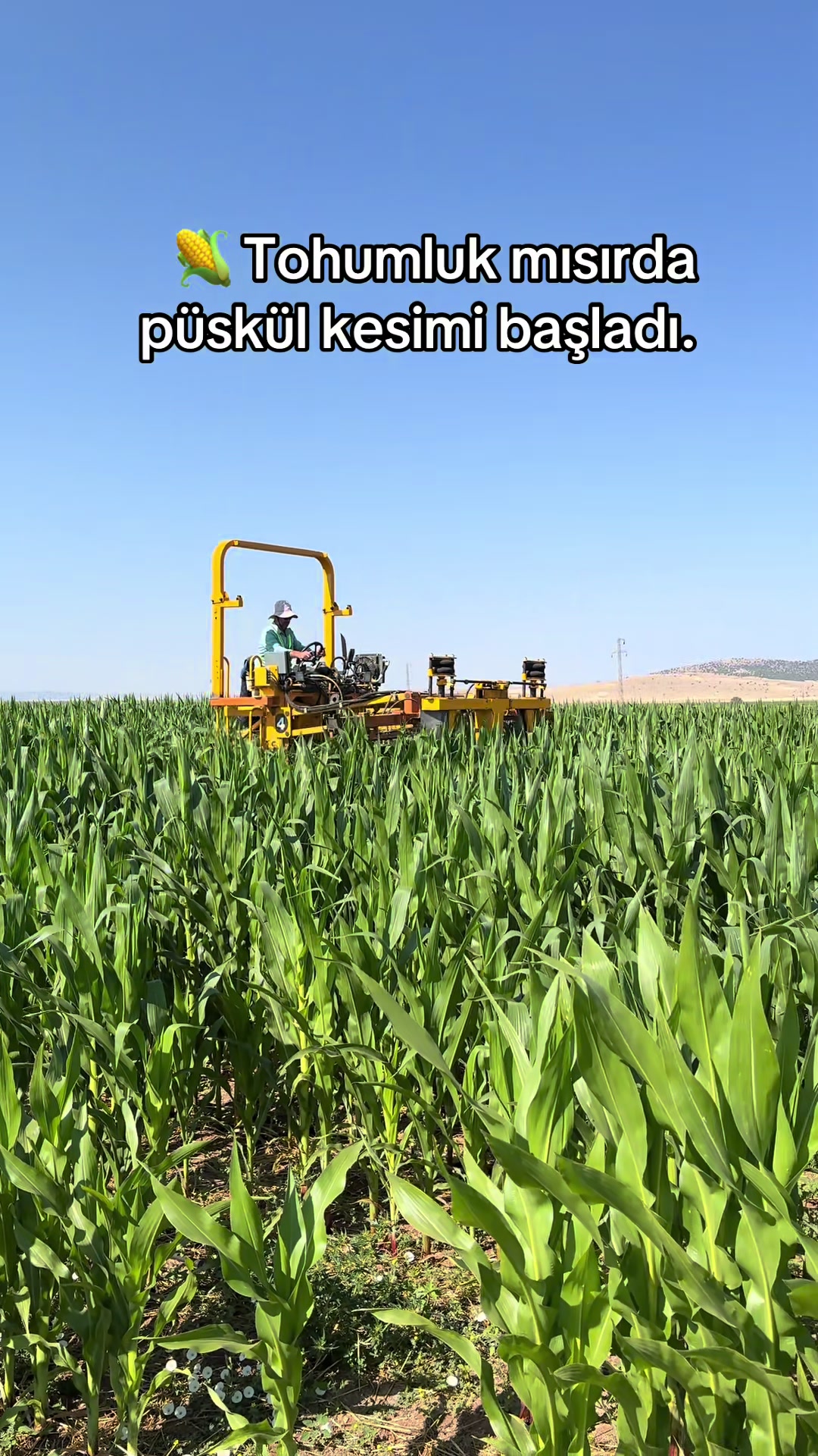 @İE_TARIM