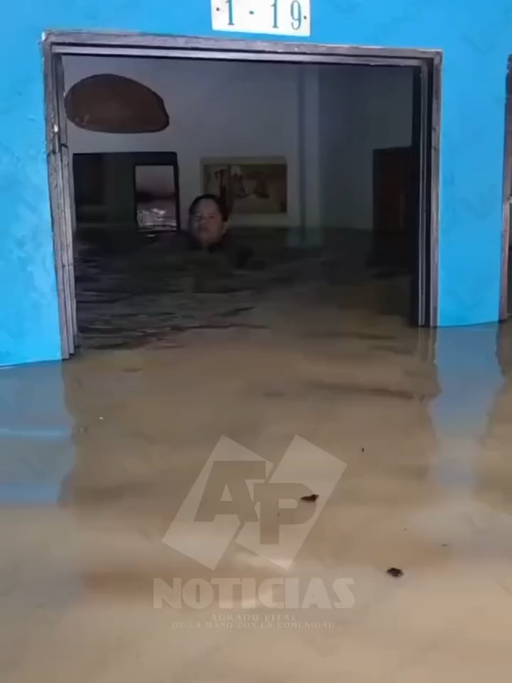 @AP Noticias al d&iacute;a