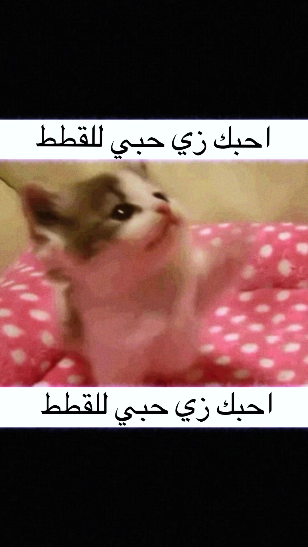 @ً