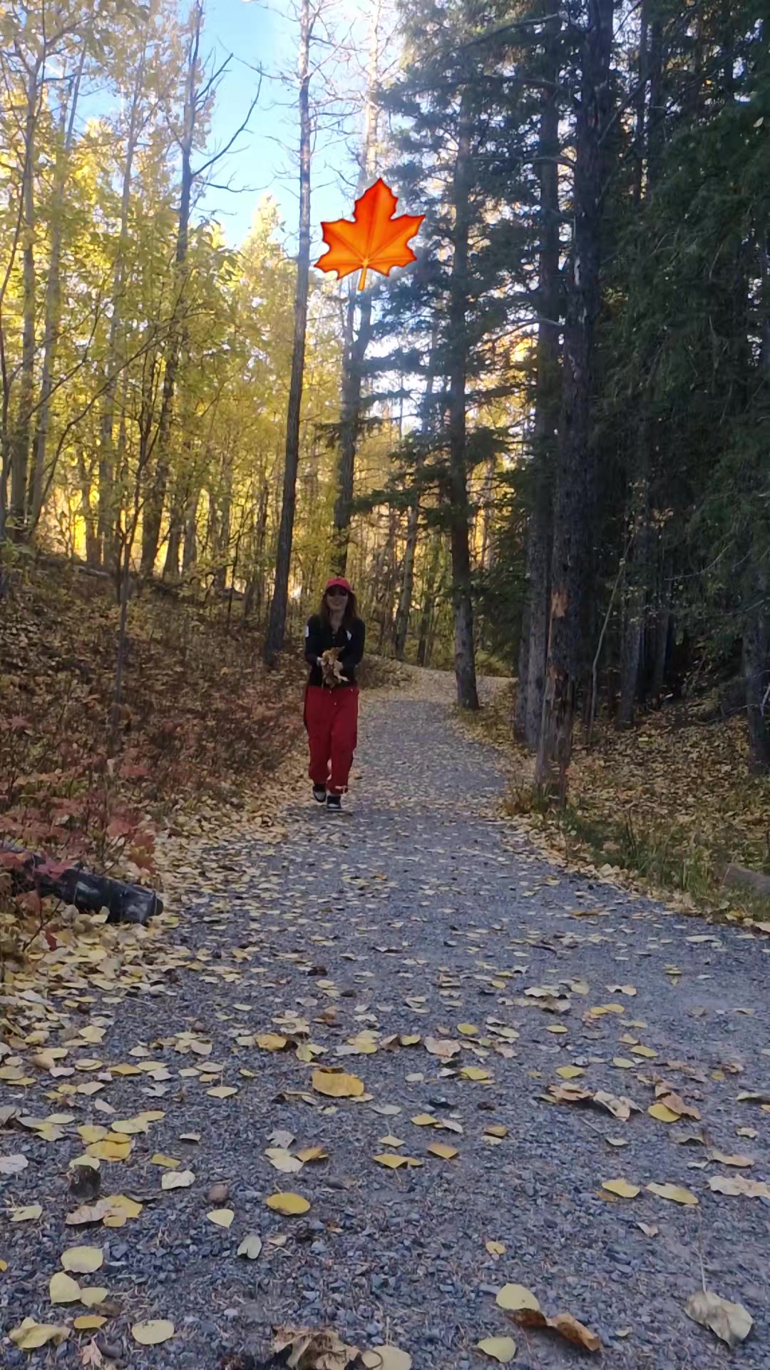 @Aana🇨🇦🇹🇭