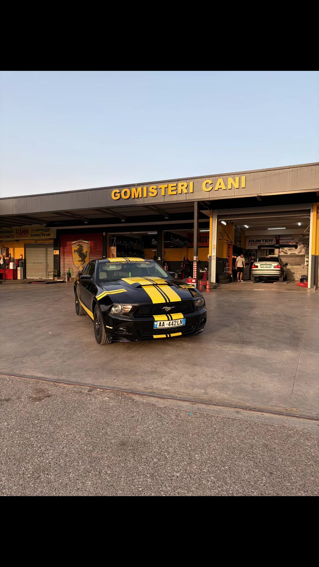@Gomisteri cani