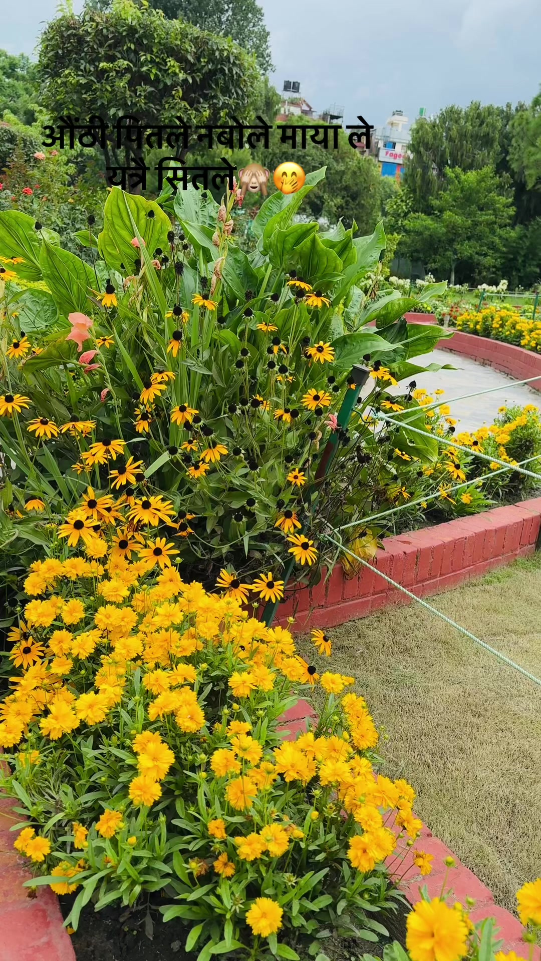 @Sushmita Tiwari
