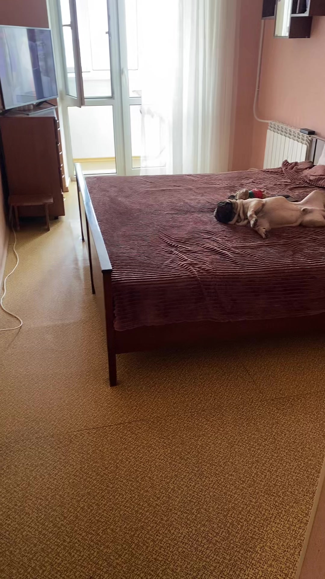@_holly_bulls_