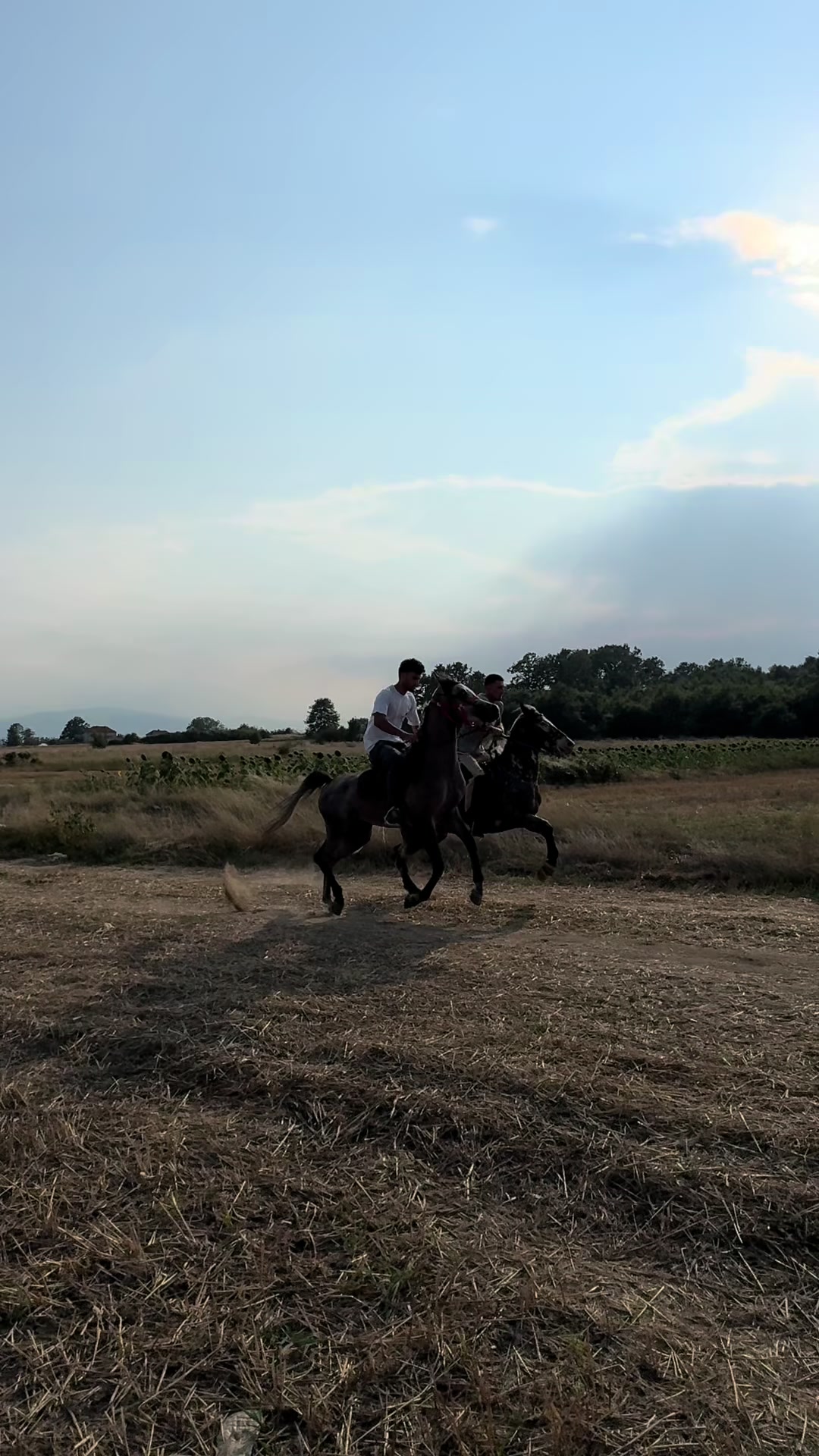 @BERTI RANCH 🐎