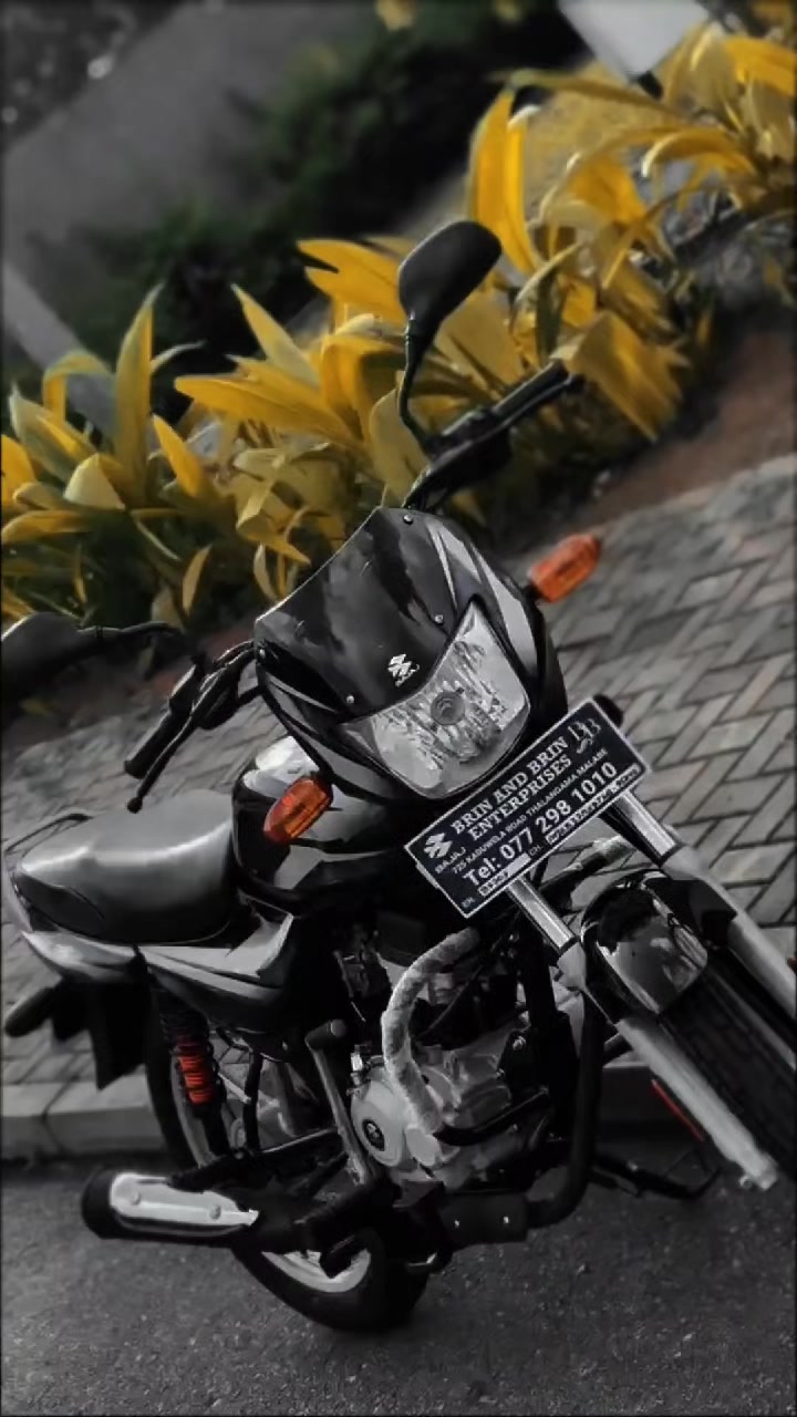 @Eliora 💙 🏍️