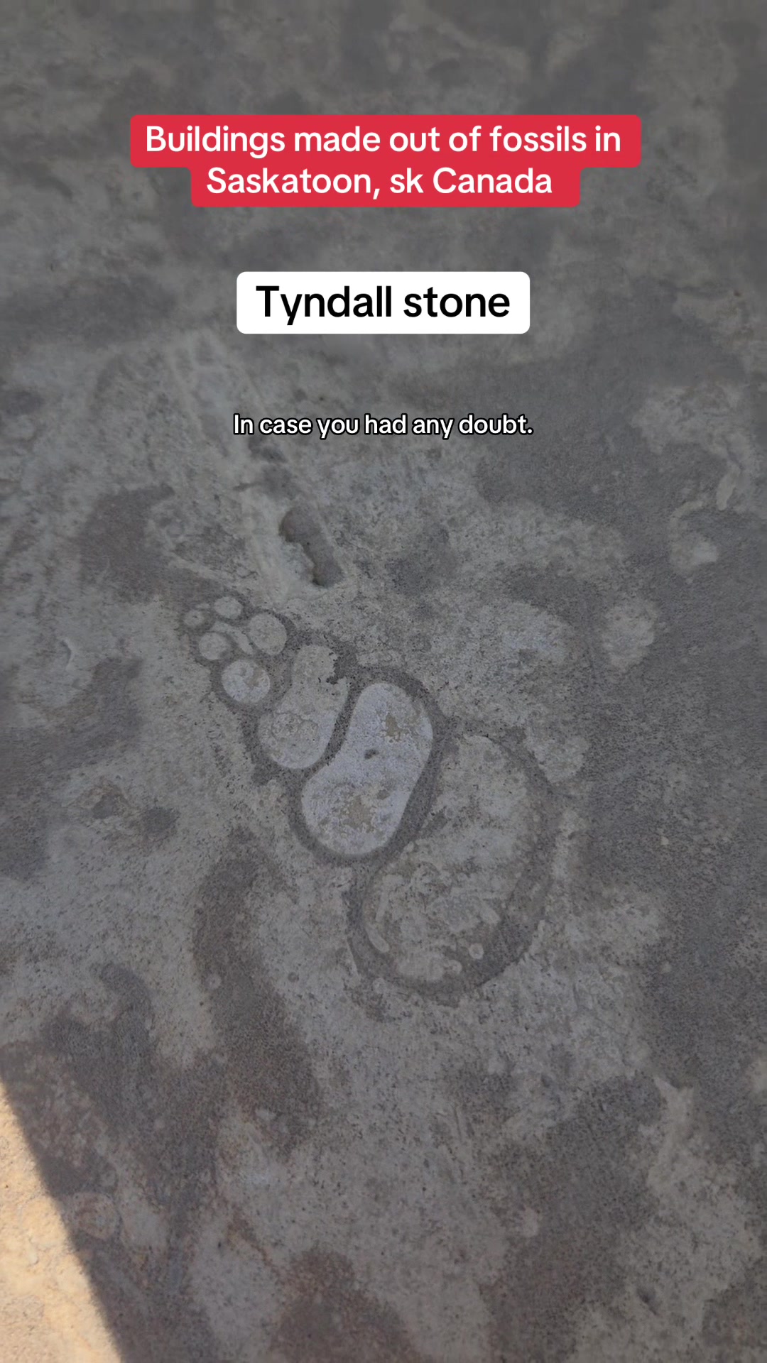 @‧₊˚✩ 🌸 Abbey 🇨🇦 ₊˚⊹