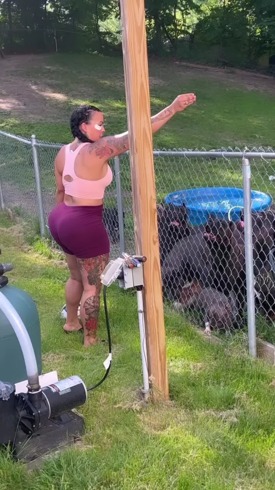 @Alpha Z Kennels