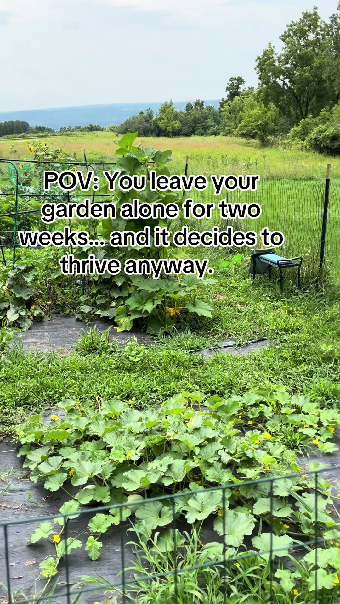@Resistance Homesteaders
